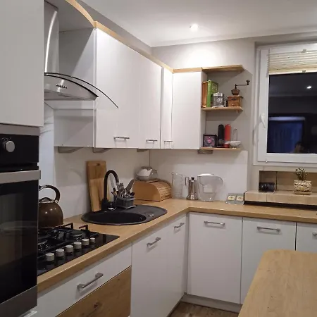 Apartament Bukowa Kopa 公寓 Stronie Śląskie