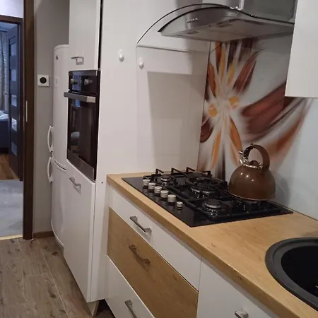 公寓 Apartament Bukowa Kopa *